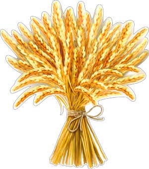 Плакат-вырубка 'Сноп из пшеницы', P33-30