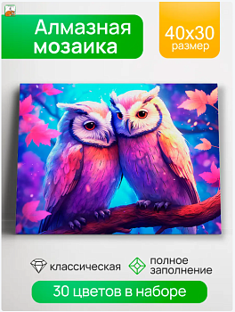 Алмаз. моз. квадратная 30х40 (класс.) (30цв.) Нежные совы  НД-0481