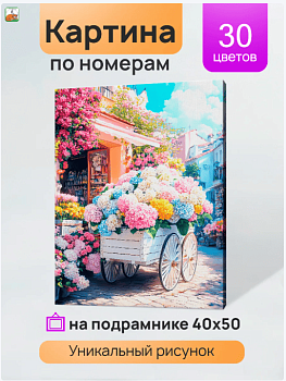Холст с красками 40x50 см по номерам (в коробке) (30 цв.) Цветочная лавка